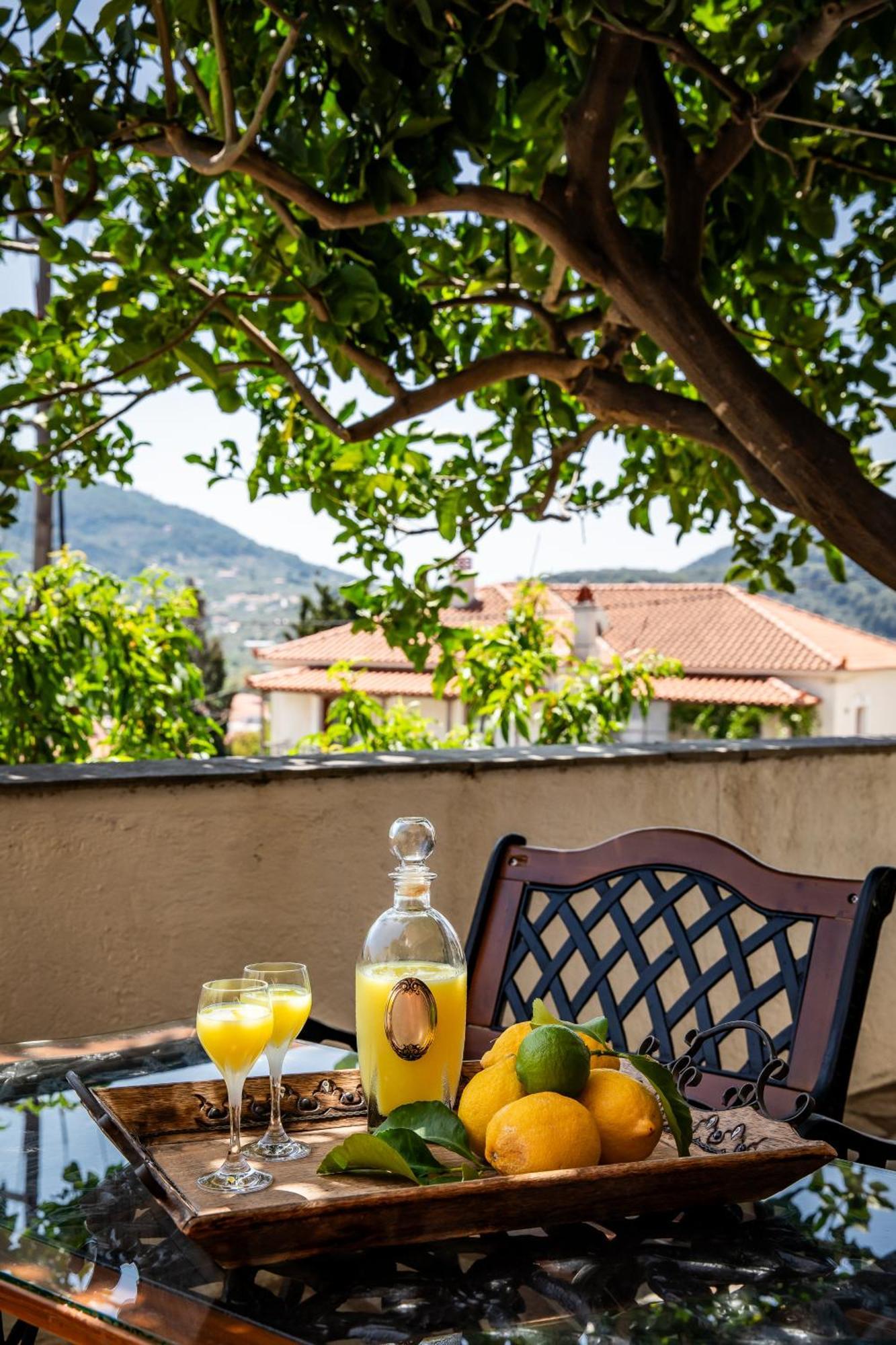 Lemon Casa