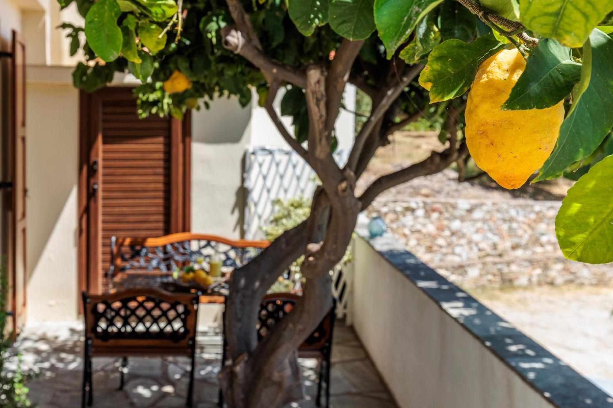Lemon Casa *